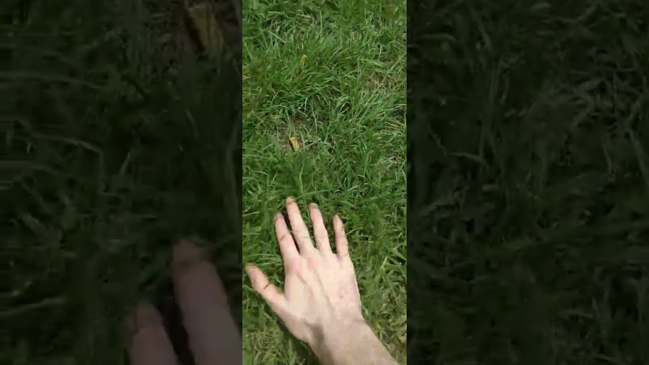 touching grass for the first time