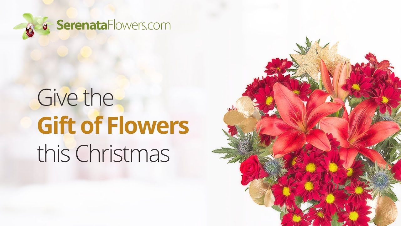 Give the Gift of Flowers this Christmas Serenata Flowers YouTube