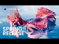 Maxon cinema 4d spring 2024 release