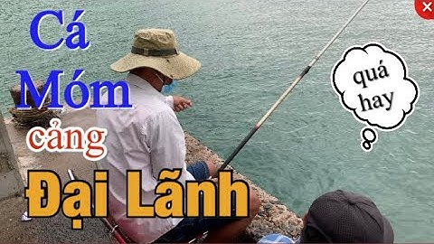 Câu Cá Móm Cá Dìa Cá Giò Cảng Đại Lãnh | Trúng Ổ Cá Cần Thủ Giật Quá Là Phê