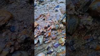 Oh God So Beautiful Stone Finding