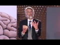 Waarom vernietigt vanillevla onze hersenen? Prof. Dr. Erik Scheder (4/5)