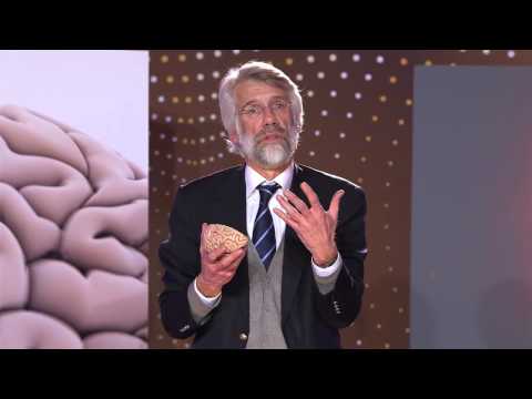Video: Ophef! Hersenen Van Het VK