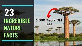 23 Amazing Facts Didn't Know About Nature! | Incredible Nature Facts | Did Know Facts? - YouTube