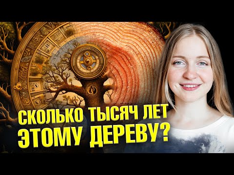 Сколько лет этому артефакту? Секреты дендрохронологии | Ученые против мифов 21-17