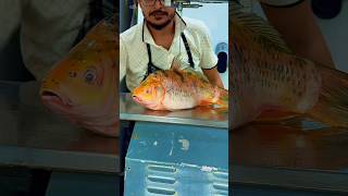 Carphu fish amazing cutting skills just video