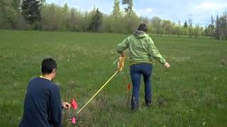 The Art of Laying Transects
