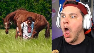 Strongest Man In The World - Reaction