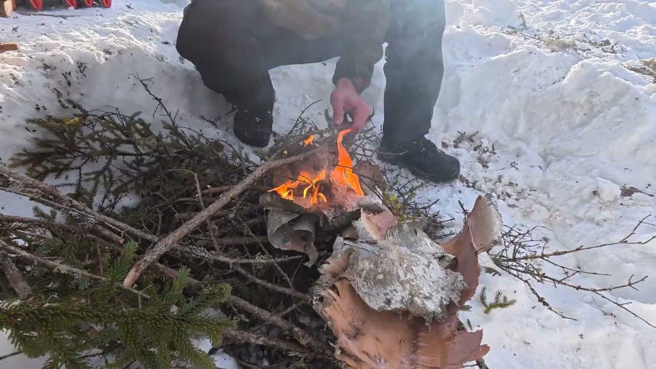 Survival - Starting a fire in winter using ferro rod and bark!