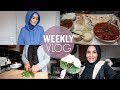 Weekly Vlog: SNOW STORM, LOTS OF COOKING& HOME BARGAINS HAUL!| Zeinah Nur