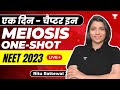 Meiosis in One-Shot | एक दिन - चैप्टर इन | NEET 2023 | Ritu Rattewal