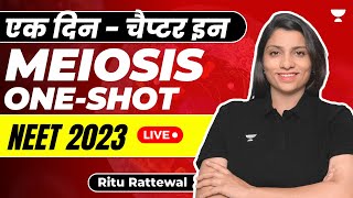 Meiosis in One-Shot | एक दिन - चैप्टर इन | NEET 2023 | Ritu Rattewal