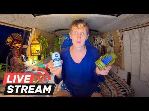 Алёна улетела домой остался один в Камбодже На этом всё