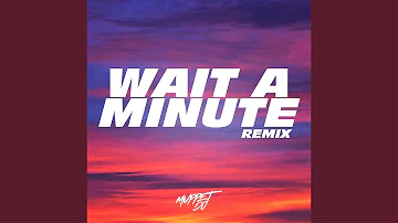Wait A Minute! (Tik Tok Remix)
