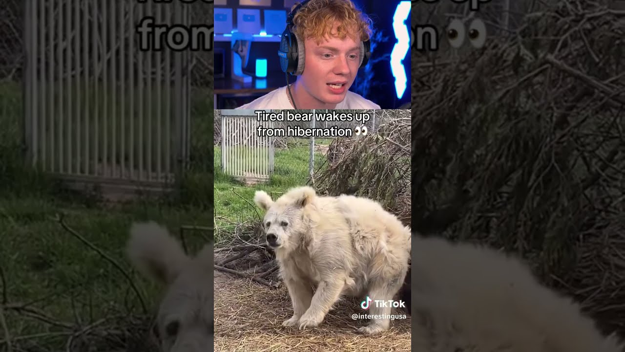 Things That Humans Were Never Meant To See 