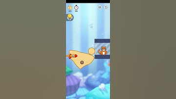 Hello Cats Level 67 3 Stars.