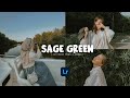 Sage green  free lightroom mobile presets  sage preset  aesthetic preset  sage filter