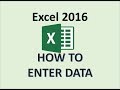 Excel 2016  enter data  how to input put type into worksheet  entering spreadsheet in ms computer