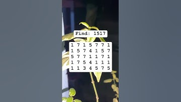 Observation Visual Test: 5 Seconds For You To Spot 1517. Try Your Skills!  #search #puzzle #shorts