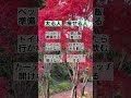 太る人と痩せる人と朝の違いはコレ