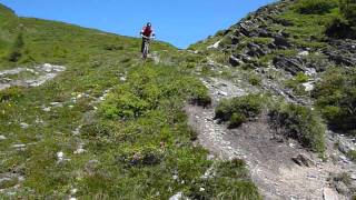 Mtb Zillertal 2011 -  Pfitscherjoch-Trail