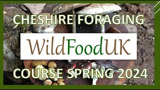 'Wild Food UK' Foraging Course April 2024 (w) Karl | Lloyds Meadow Glamping Site | Delamere Cheshire