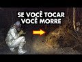 10 coisas que provavelmente você não sabia em 10 minutos