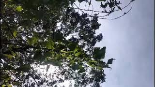 Pendakian Gunung Prau via Sukorejo-Kendal