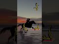 الصقر ماتلعب عليه الحمامه زوامل عيسى الليث زومل حماسيه سالم المسعودي كل جديد