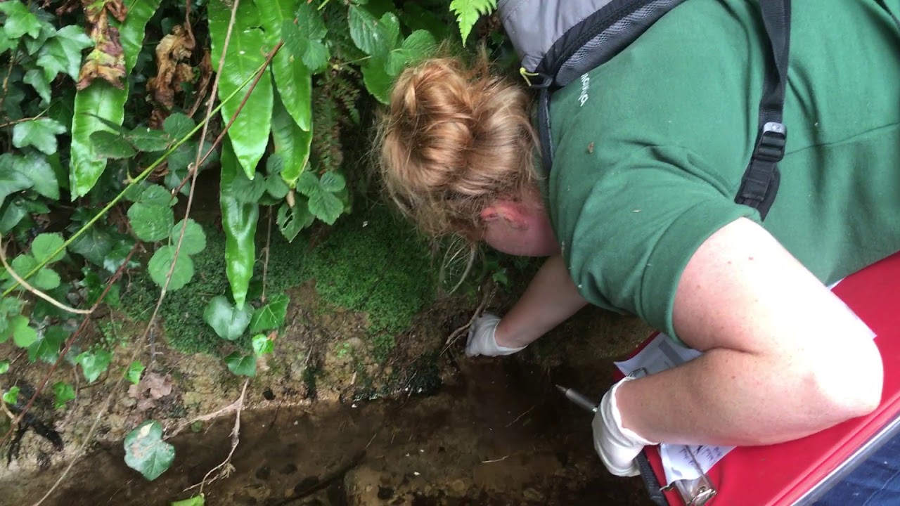 Water Vole Survey | Blackdown Environmental