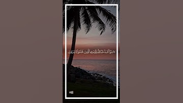 قرآن كريم راحة نفسية #quran #القرآن