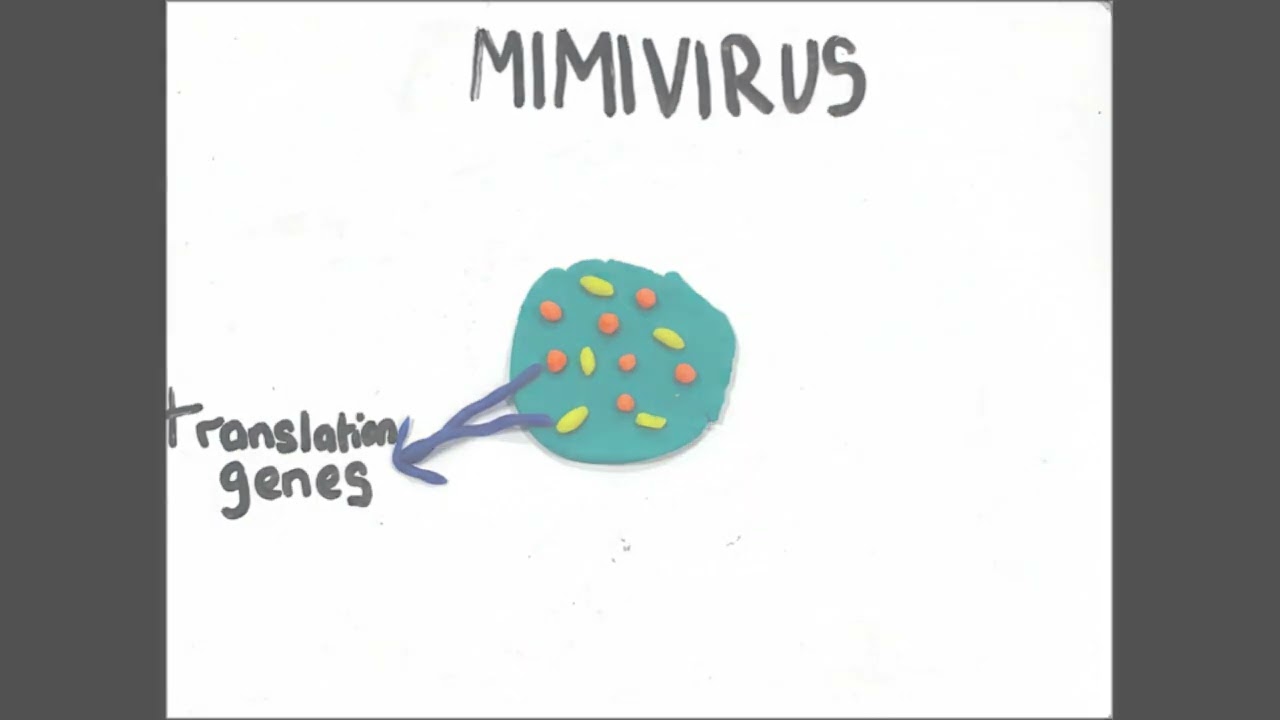 Origin of Viruses