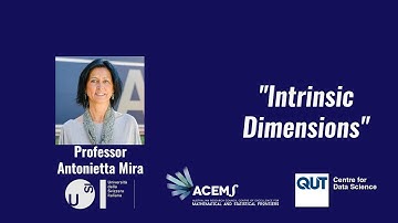 Intrinsic Dimensions