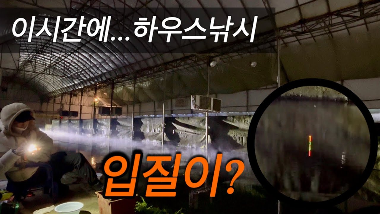 이시간에도 하우스 낚시 입질이 ? 