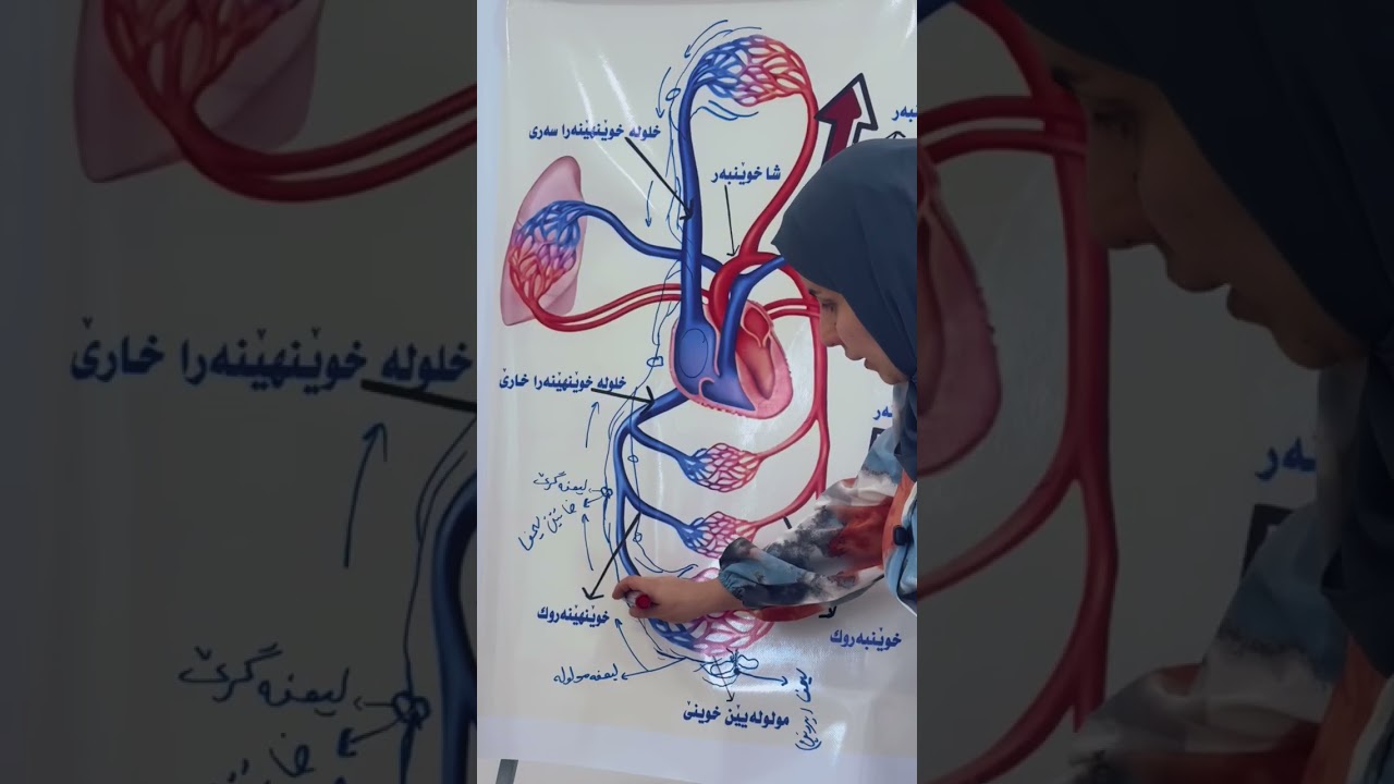 بابەت : زیندەوەرزانی بەندێ دوویێ : لیمفە کوئەندام