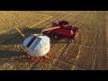 harvesting oats australia case ih 2388