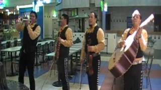 Video thumbnail of "Sergio el Bailador(Pipiripao) Mariachi 7 Soles"