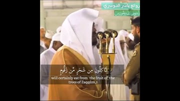 "لَـَٔاكِلُونَ مِن شَجَرٍ مِّن زَقُّومٍ" تلاوة نادرة للآسر د. ياسر الدوسري | سورة الواقعة