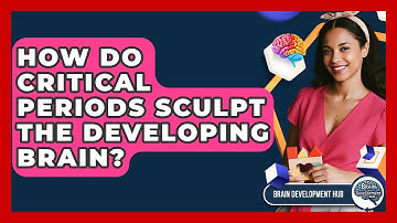 How Do Critical Periods Sculpt The Developing Brain? - Brain Development Hub