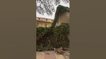 ان كان الحبيب حبيب تاني 
