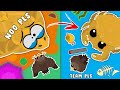 RARE GOLDEN SHAHBAZ TRIES TO TROLL ME & GETS INSTANT KARMA in MOPE.IO