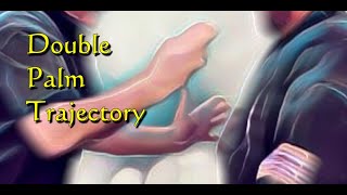 Double Palm Trajectory