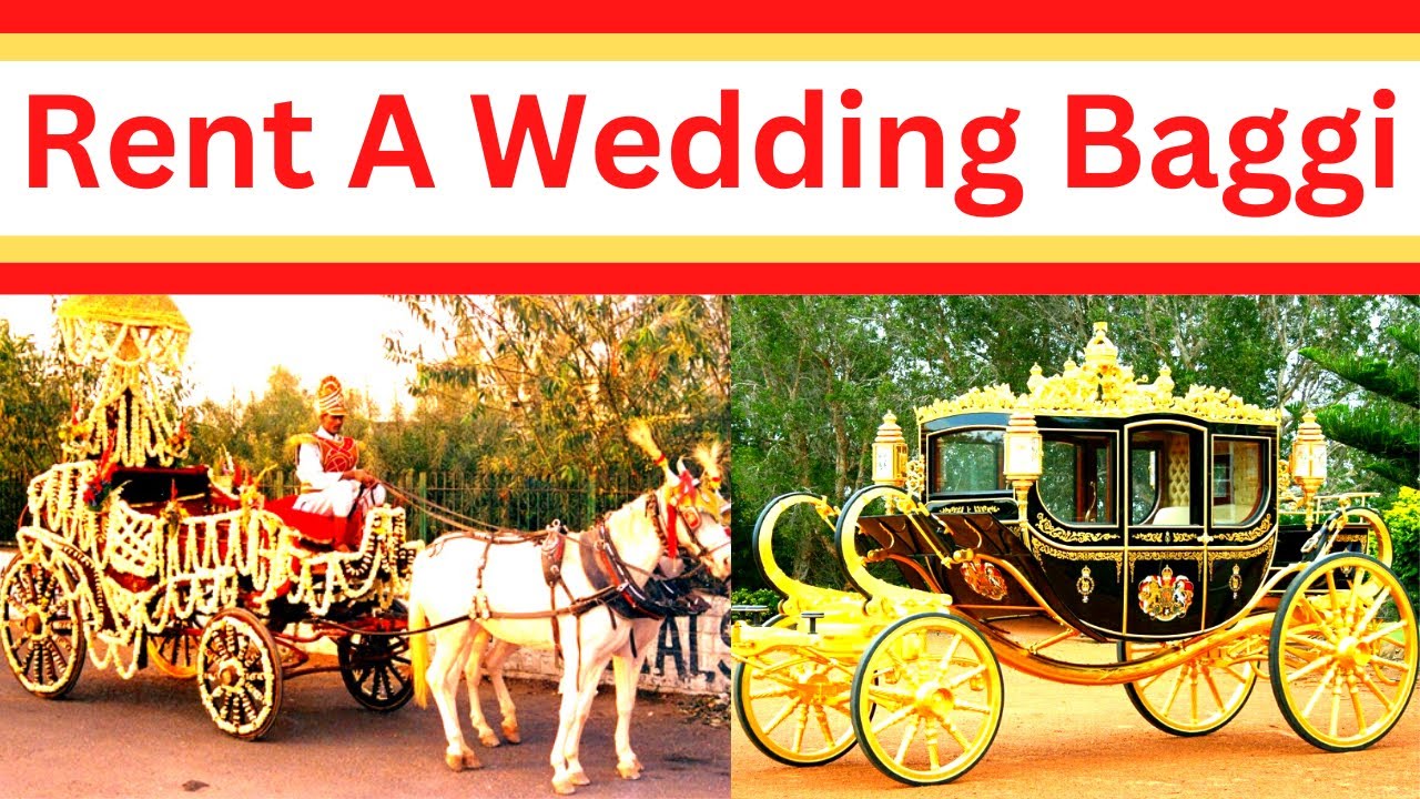 Too Much High Rent Of Royale Limo Baggi