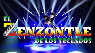 Download el puki puki - El zenzontle de los teclados (cover) Mp3 Download el puki puki - El zenzontle de los teclados (cover) Mp3