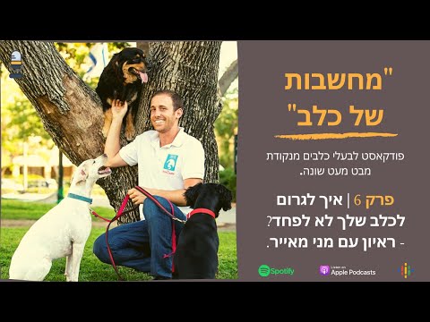 וִידֵאוֹ: סימנים ותסמינים של נפיחות אצל כלבים GDV בכלבים