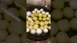 Cara menggoreng Cimol anti meledak