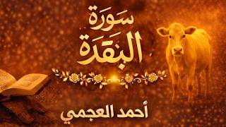 سورة البقرة كاملة | رقية شرعية قوية للشفاء وطرد السحر والحسد | أحمد العجمي