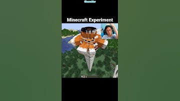 Minecraft Fox Experiment