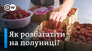 Бізнес на полуниці: як розкрутити фермерство в ОТГ | DW Ukrainian