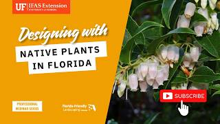 Designing with Native Plants in Florida: Real‑World Landscape Examples from Experts
